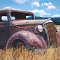 Truck Farmed • oil on canvas • 18 x 18 inches • PRIVATE COLLECTION